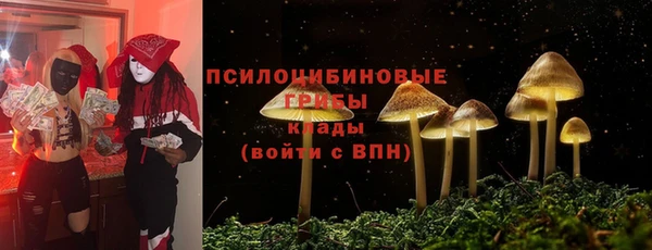 PSILOCYBIN Алексин