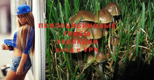 МДПВ Алзамай