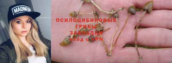 МДПВ Алзамай