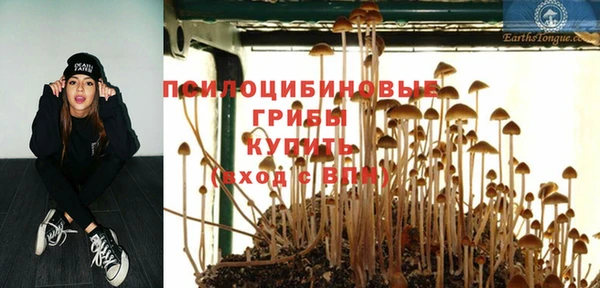 сатива Алексеевка